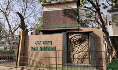 झारखंड में वन भूमि पर बड़ा एक्शन! 32 हजार एकड़ अतिक्रमण हटाने की तैयारी, जंगल बचाने को बनेगा लैंडबैंक