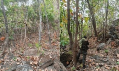 झारखंड: चाईबासा के जंगल में मुठभेड़: एक करोड़ के इनामी मिसिरा बेसरा की तलाश, एक माओवादी ढेर