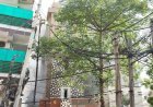 दिल्ली की आग में उजड़ गया पूरा परिवार: गुरुग्राम के CA विवेक समेत 8 की मौत, सिर्फ बीमार पिता बचे