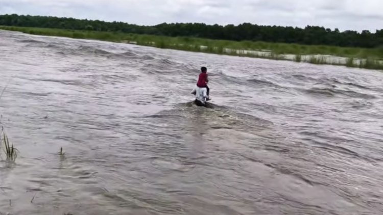 कंधे पर बेटे को बैठाकर उफनती नदी पार करता पिता, बिहार का Video बना विकास के दावों पर बड़ा सवाल