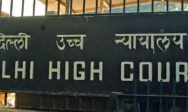 लिव-इन पर दिल्ली हाई कोर्ट का बड़ा फैसला, बालिगों की पसंद में परिवार-दोस्त नहीं डाल सकते दखल