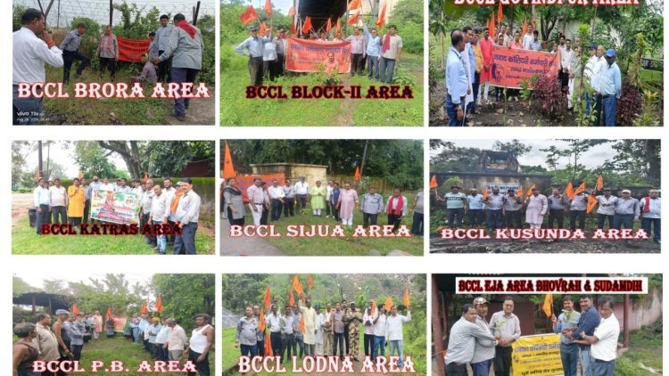 रक्षाबंधन पर BCCL में ‘वृक्ष ही जीवन’ का संकल्प, अमृता देवी बलिदान दिवस पर हुआ पौधारोपण