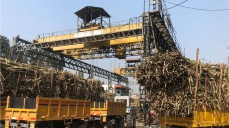 बिहार: तिरुपति शुगर मिल पर साइबर अटैक,सर्वर हैक, डेटा चोरी, 100 करोड़ का नुकसान
