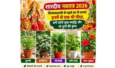 Shardiya Navratri : विजयादशमी से पहले घर में लगाएं तुलसी, हरसिंगार समेत 5 शुभ पौधे